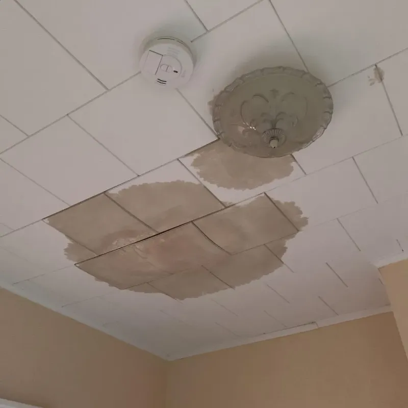 Ceiling Water Damage Repair in Goddard, KS