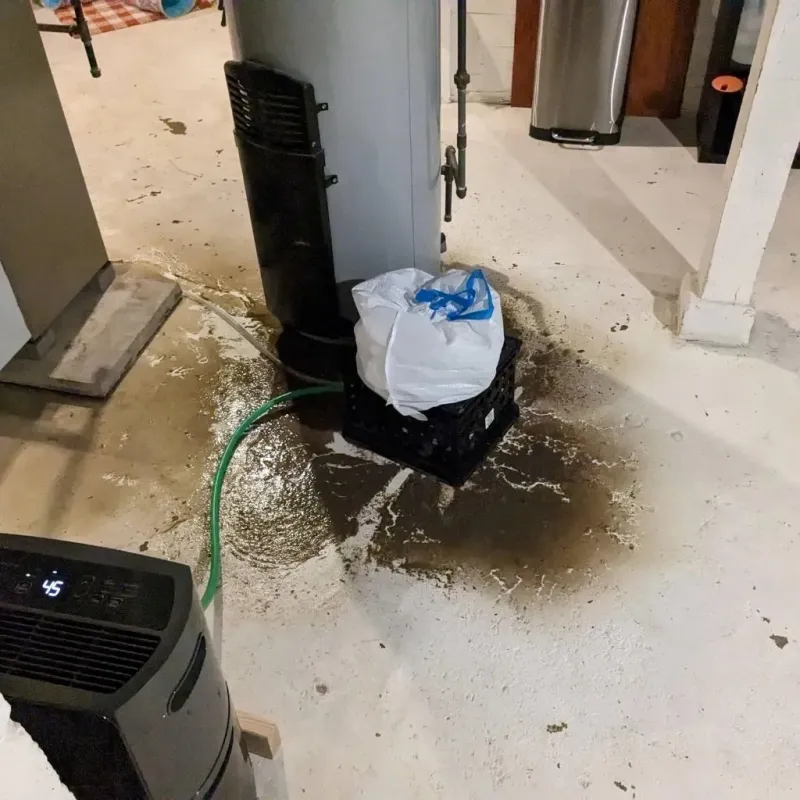 Sewage Backup Cleanup Service in Goddard, KS